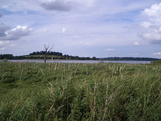Reed-fringed water and distant shore seen from Waderscrape Hide at Rutland Water