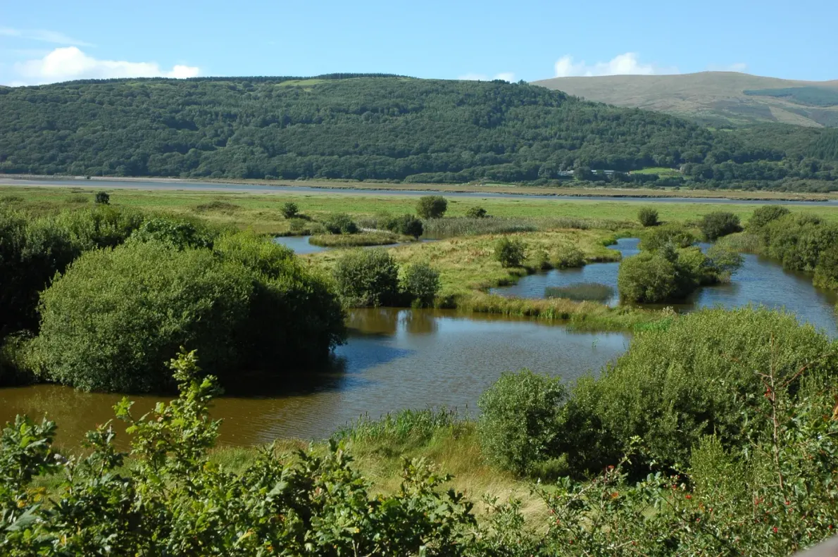 Wet grassland beneath wooded hills at RSPB Ynys-hir in the Dyfi Valley.