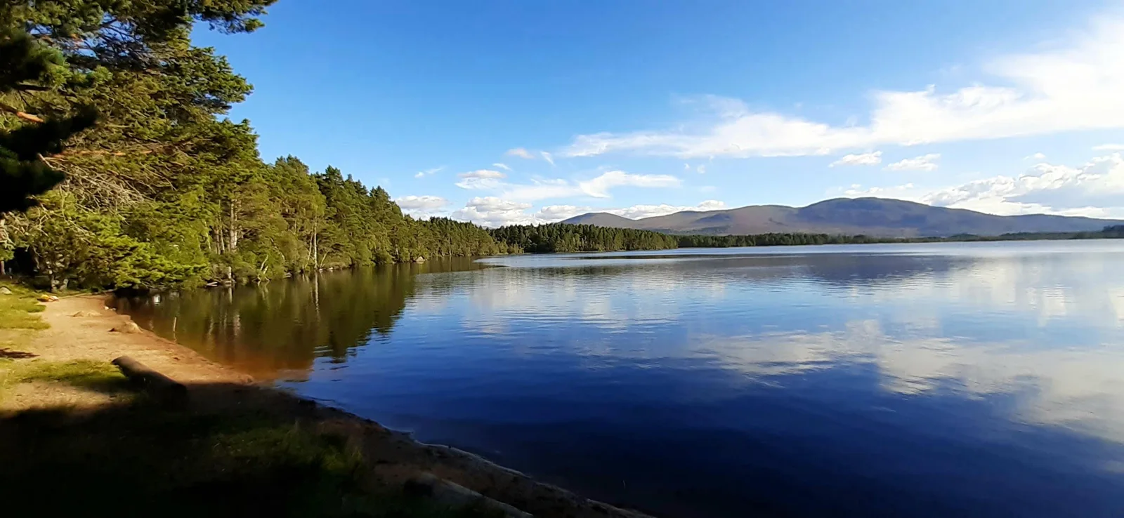 Loch Garten and its pine-covered shore beneath a cloudy sky