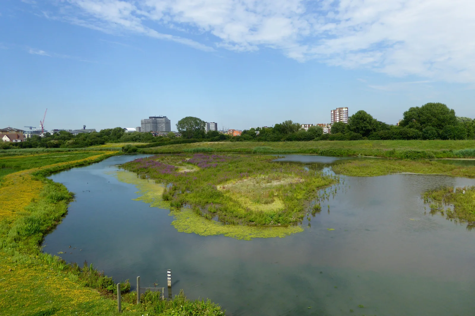 Pools, muddy islands and green wetland edges seen from Peacock Tower at WWT London Wetland Centre