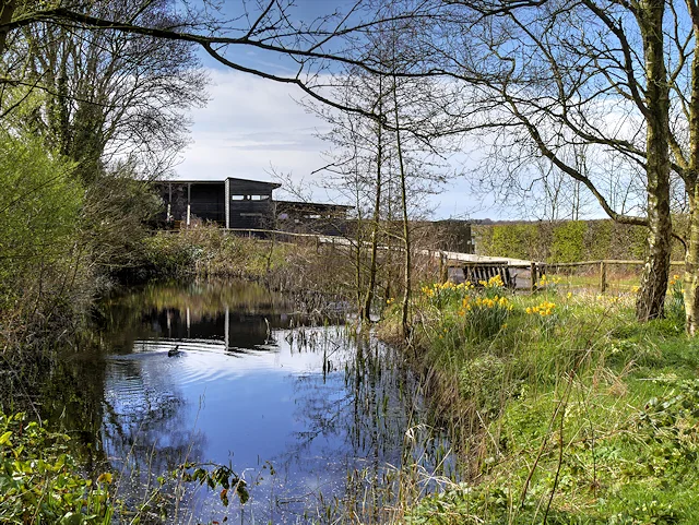 Kingfisher Pool with reed margins and the Ron Barker Hide at WWT Martin Mere